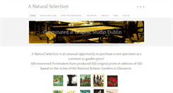 Desktop Screenshot of anaturalselectiongsd.com